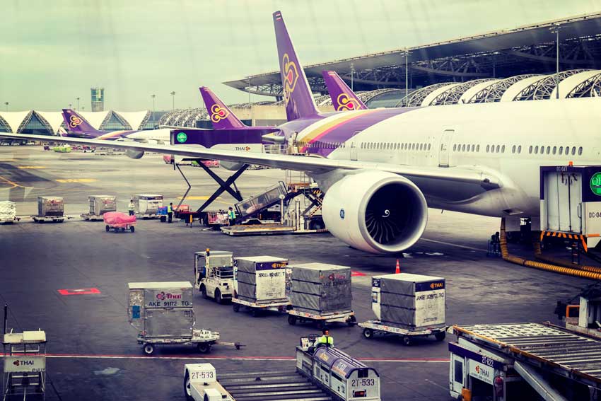 CLAVES DEL TRANSPORTE AÉREO DE ANIMALES VIVOS